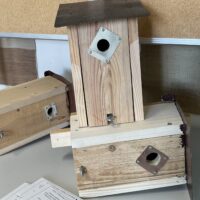 Nistkästen für heimische Vögel