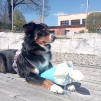 Lieselottes erster Schultag